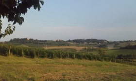 Chi siamo - L'arnia del contadino